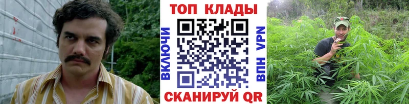 Купить ЭКСТАЗИ  Меф  Марихуана  Псилоцибиновые грибы  КОКАИН  A-PVP  Ногинск