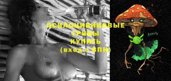 mix Осинники