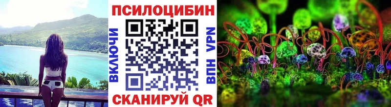 Галлюциногенные грибы Cubensis  Купить где  Ногинск 